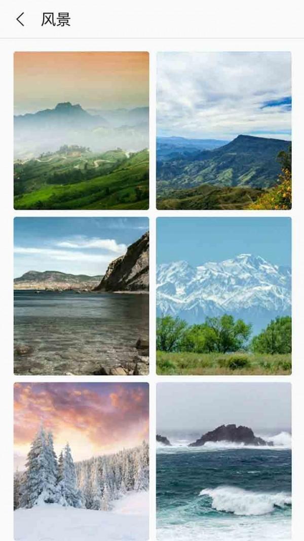 芒果壁紙手機(jī)版下載